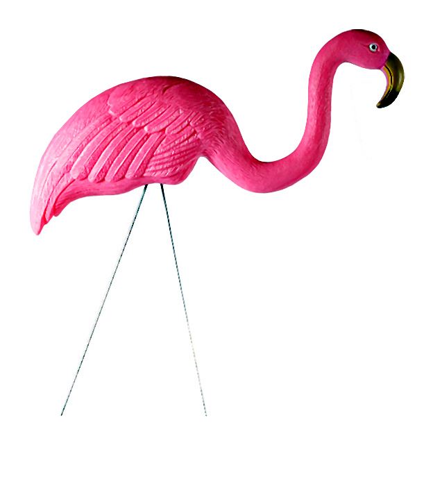 Fleming (1)-007-2014-06-30 _ 18_49_56-72