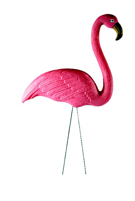 Fleming (2)-008-2014-06-30 _ 18_49_56-72