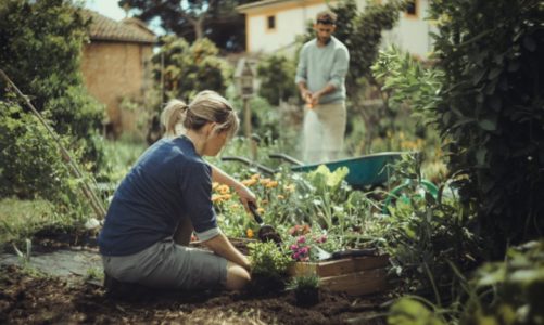 Pomysł na prezent pod choinkę – inspiracje Fiskars