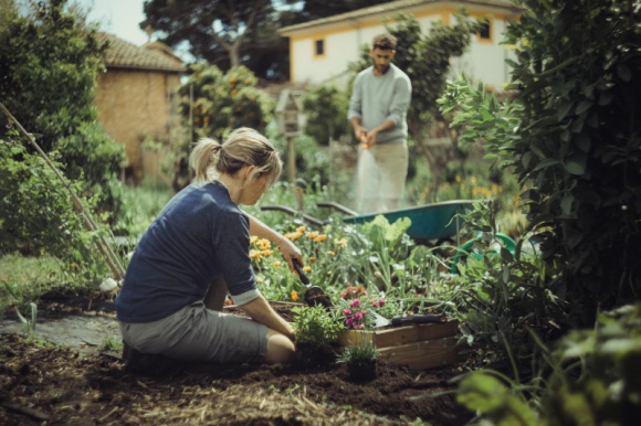 5 kluczowych narzędzi w każdym ogrodzie – inspiracje Fiskars Dom, LIFESTYLE - Szybkimi krokami zbliża się wiosna i intensywny czas pracy w ogrodzie. Czym powinien kierować się właściciel przydomowego ogródka kompletując zestaw niezbędnych narzędzi? Przynajmniej 5 narzędzi to niezbędnik bez którego ani rusz. Spróbujmy je wybrać.