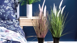 Zainspiruj się naturą i stwórz stylowe wnętrze z Netto