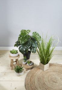 Dodatki z drewna – wspólny mianownik różnych stylów Dodatki z drewna – wspólny mianownik różnych stylów